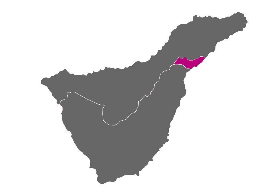 tenerife zona metropolitana